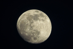 Gisonni Sabrina - 26_01_2021